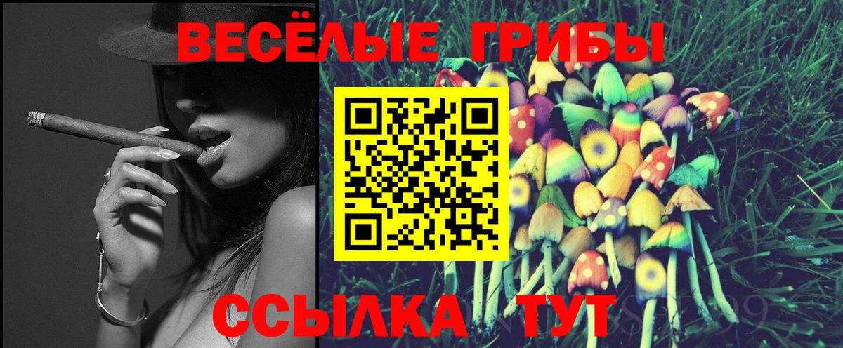 Псилоцибиновые грибы Psilocybe  Вход с VPN  Каменск-Уральский 